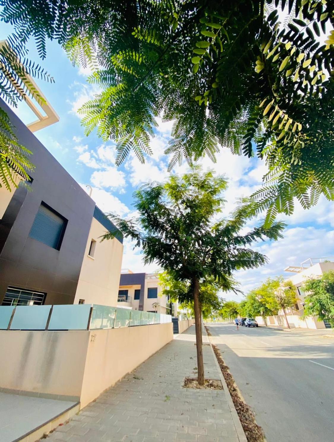 Appartement Mil Palmeras Torre de la Horadada Exteriör bild